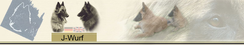J_Wurf_Banner