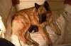 Bild1