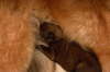 Bild2