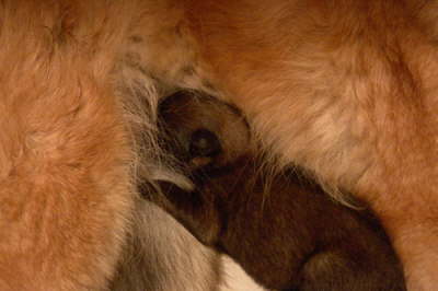 Bild2
