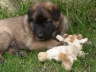 Matze-030609-2