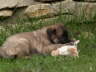 Matze-030609-3