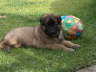 Matze-030609-4