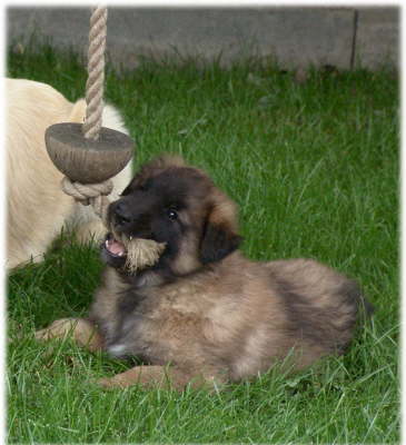 Matze-070609-14