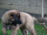 Matze-070609-8