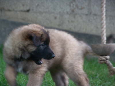 Matze-070609-8