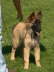 Matze-250709-6
