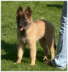 Matze-250709-8